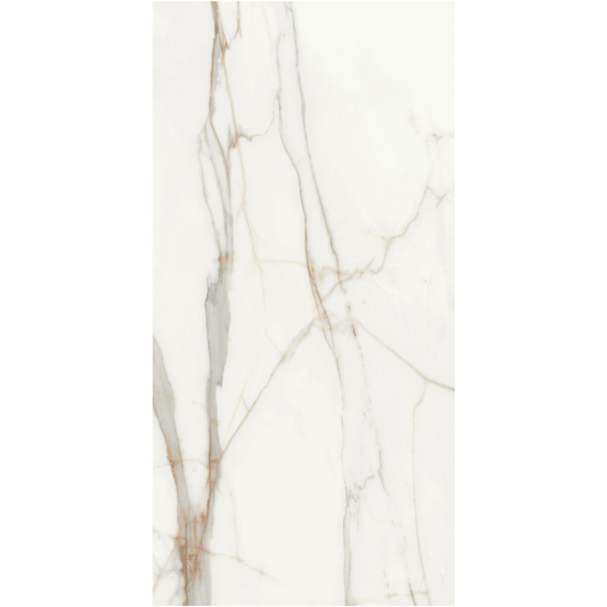 Golden Calacatta 600x1200mm
